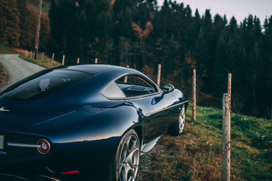 Детали экстерьера Alfa Romeo Disco Volante (6 of 8) 2017 года  (фото 23 из 32)